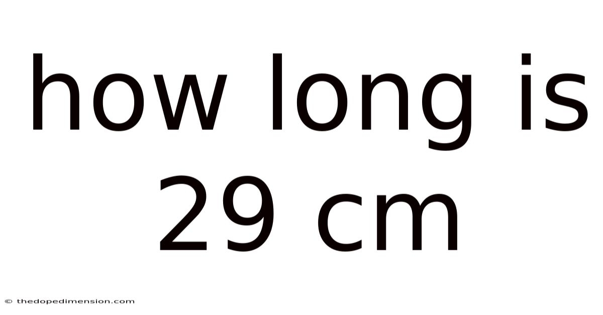 How Long Is 29 Cm