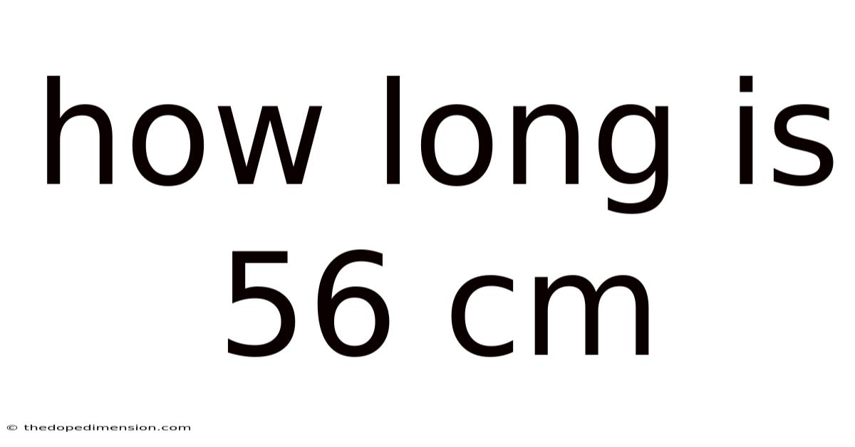 How Long Is 56 Cm