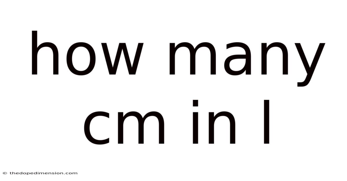 How Many Cm In L