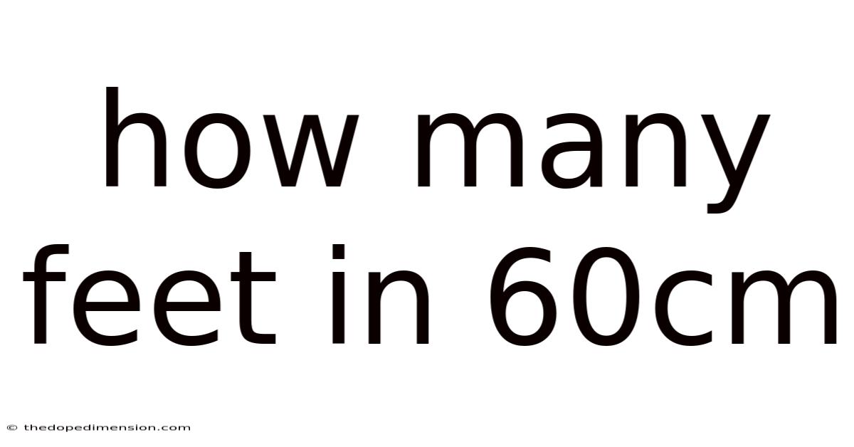 How Many Feet In 60cm