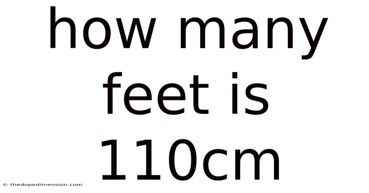 How Many Feet Is 110cm