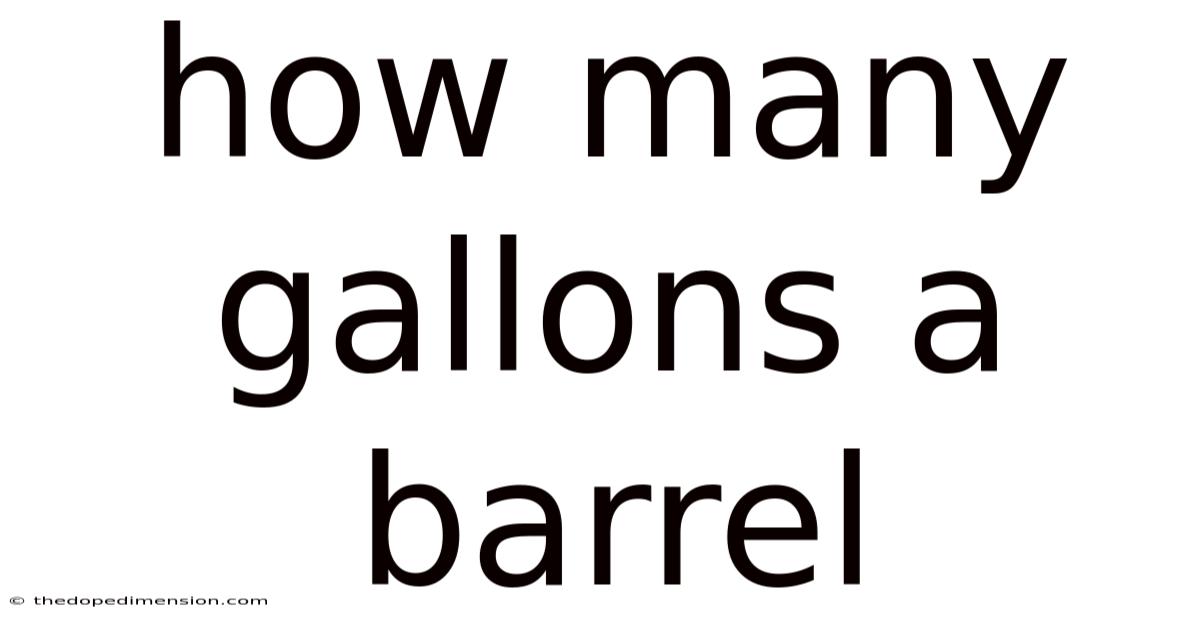 How Many Gallons A Barrel