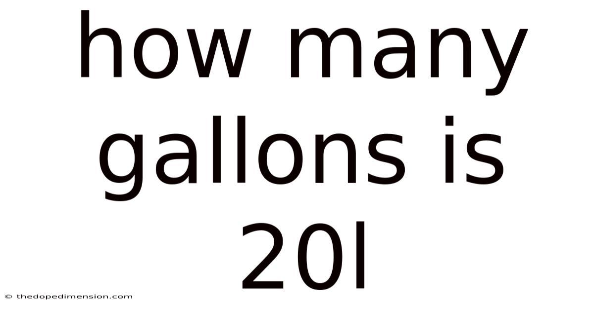 How Many Gallons Is 20l