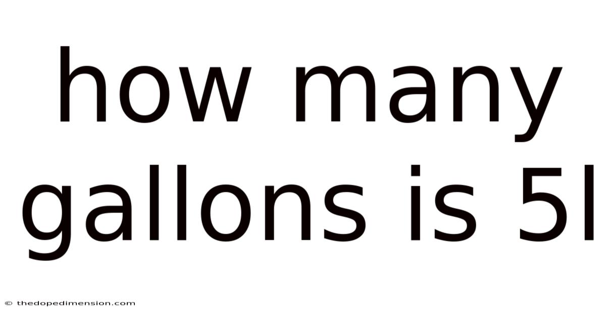 How Many Gallons Is 5l