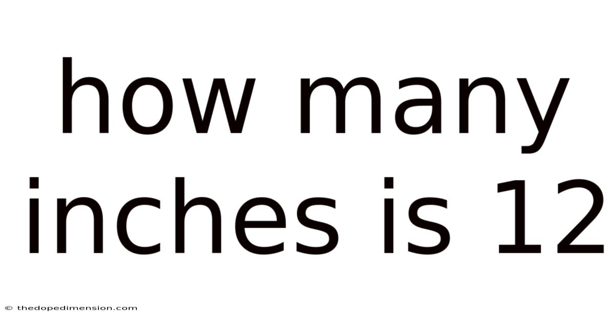 How Many Inches Is 12