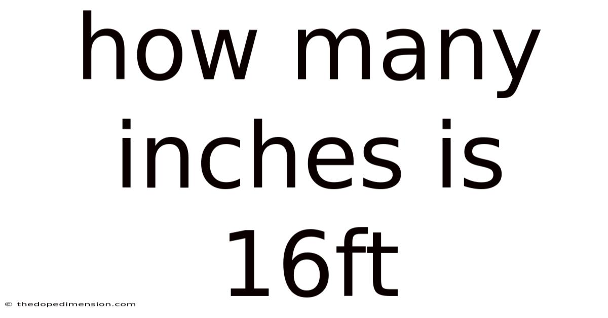 How Many Inches Is 16ft