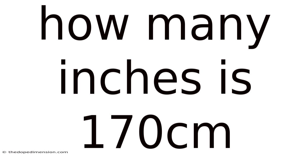 How Many Inches Is 170cm