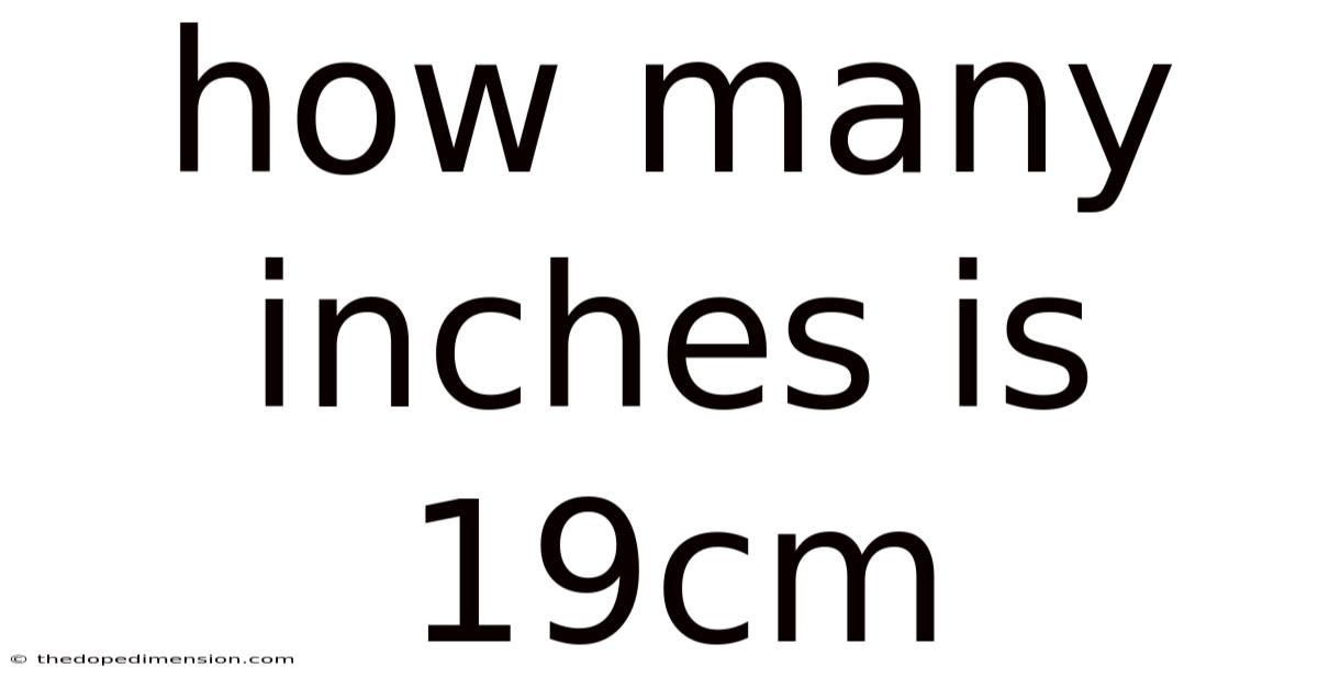 How Many Inches Is 19cm