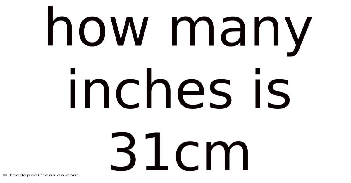 How Many Inches Is 31cm