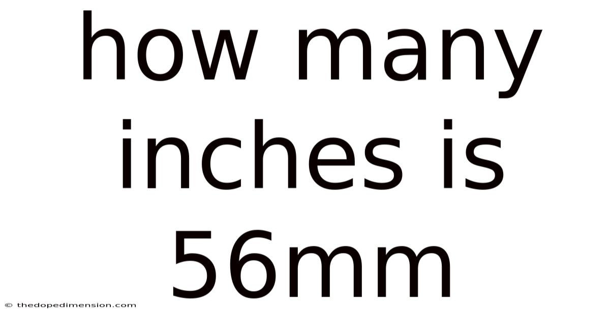 How Many Inches Is 56mm