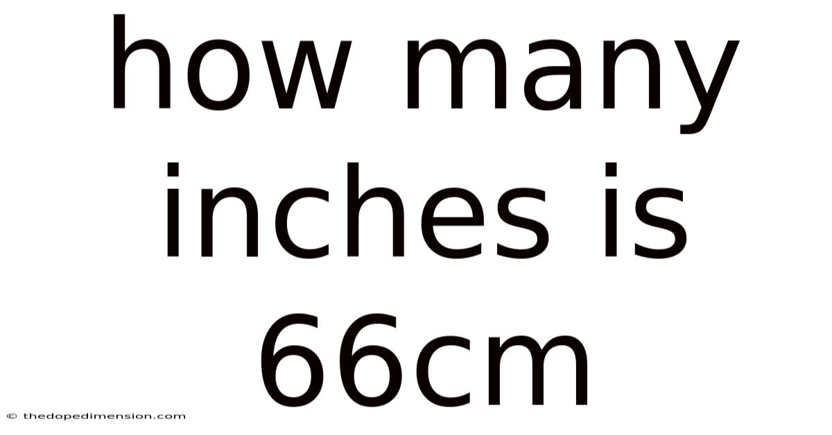How Many Inches Is 66cm