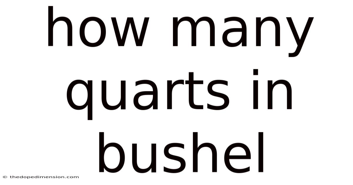 How Many Quarts In Bushel