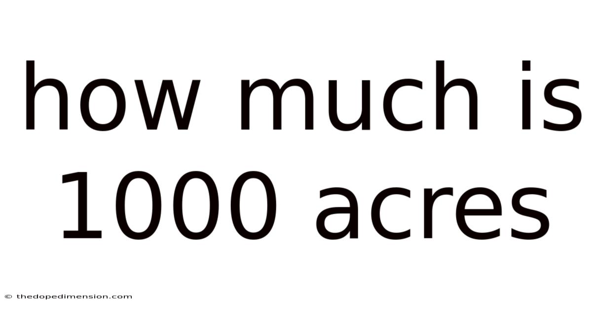 How Much Is 1000 Acres