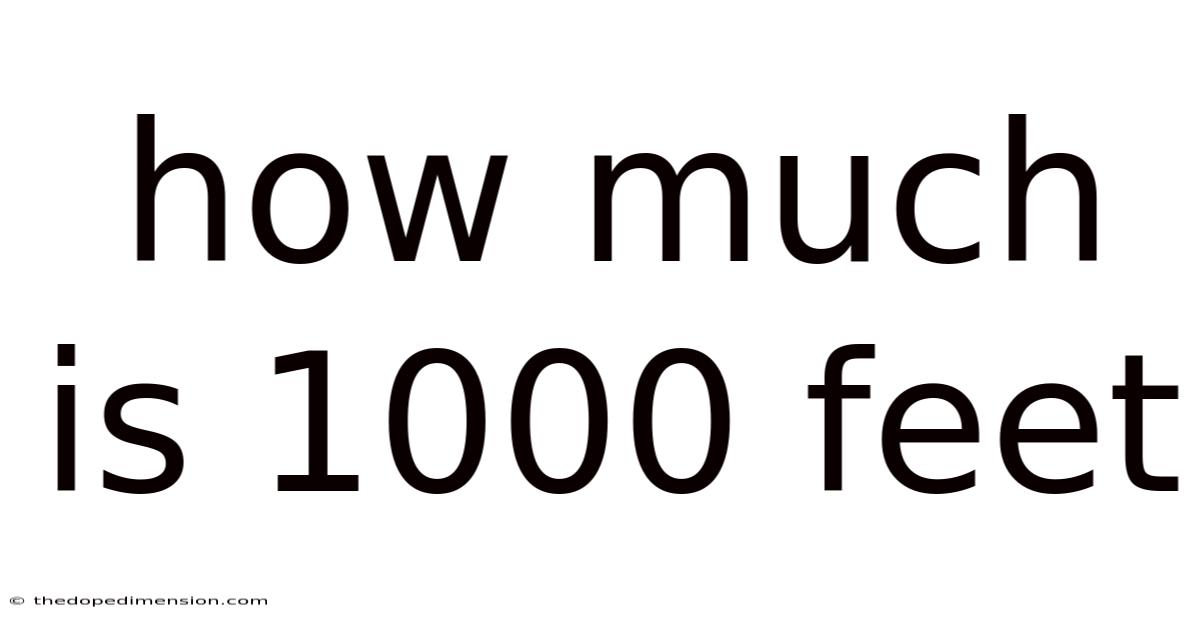 How Much Is 1000 Feet