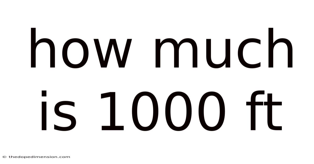 How Much Is 1000 Ft