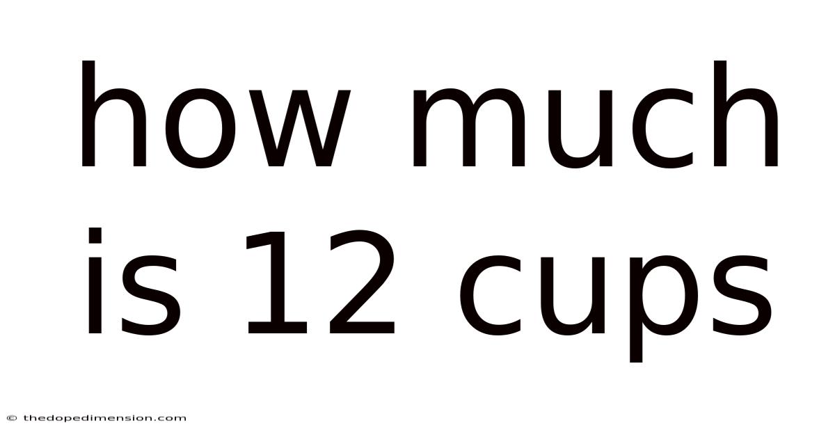 How Much Is 12 Cups