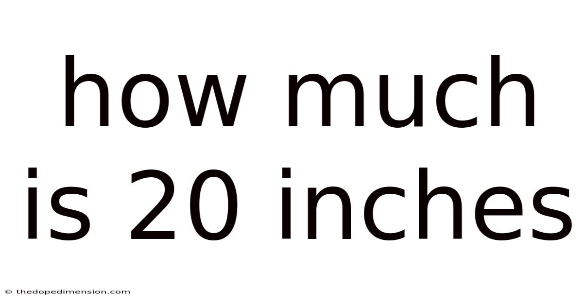 How Much Is 20 Inches