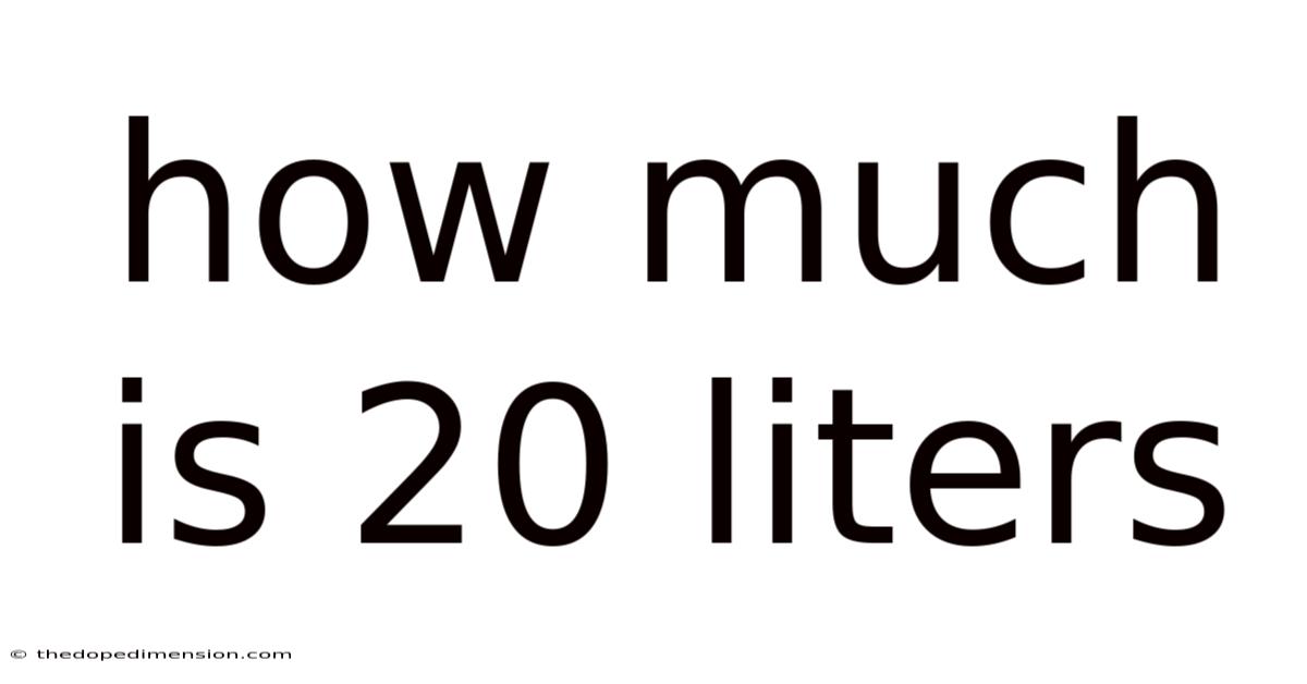 How Much Is 20 Liters