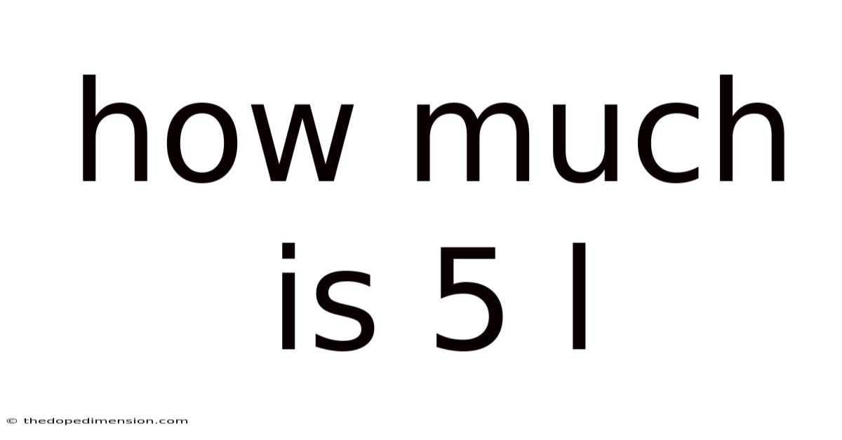 How Much Is 5 L