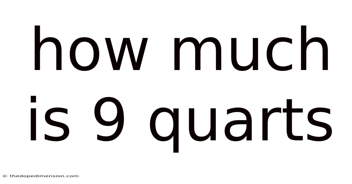 How Much Is 9 Quarts