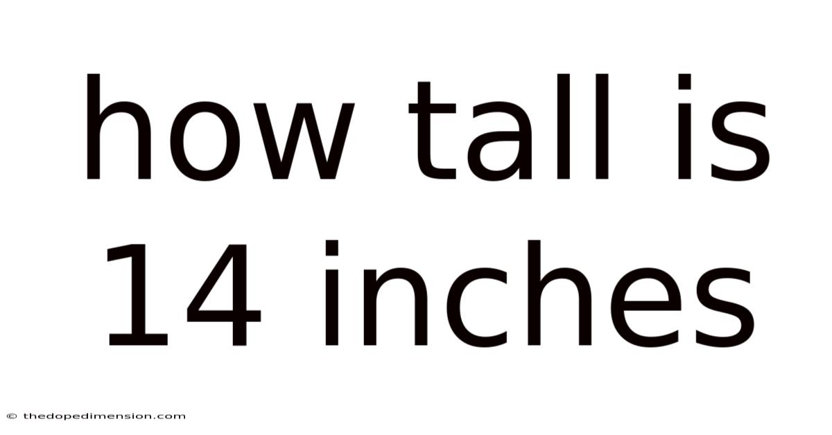 How Tall Is 14 Inches