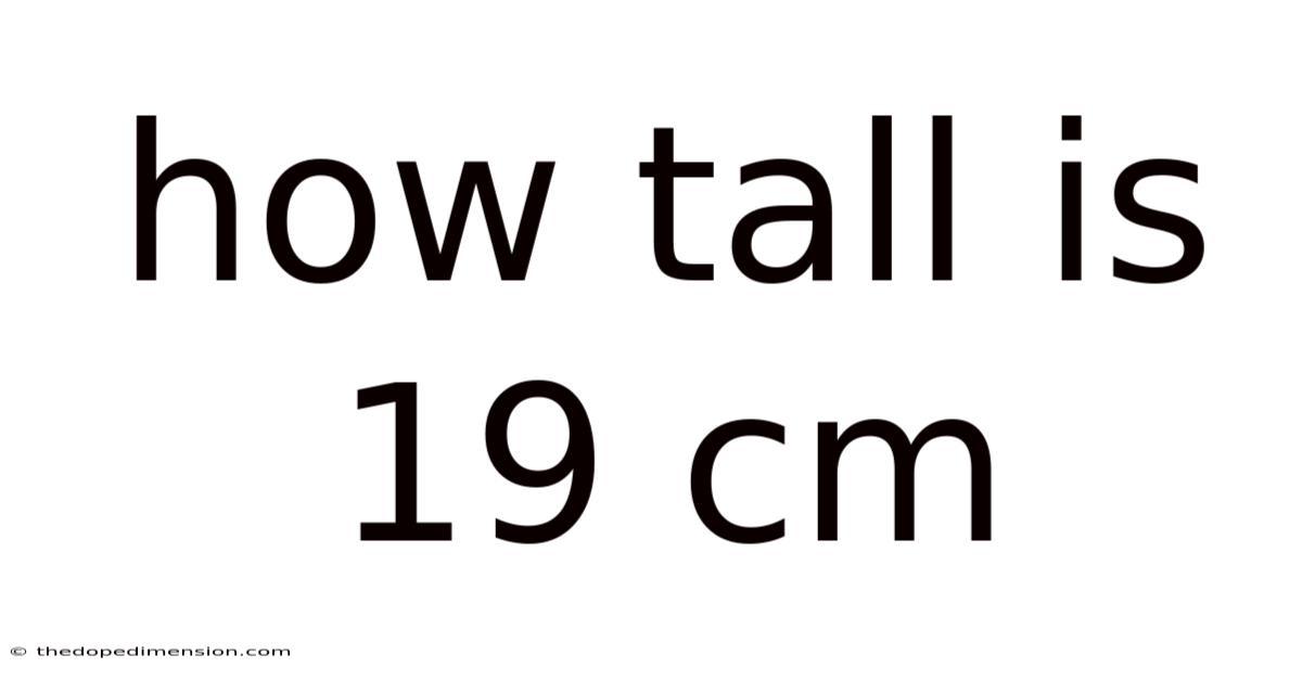 How Tall Is 19 Cm