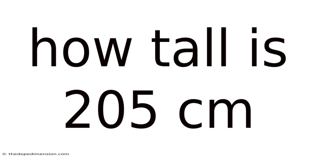 How Tall Is 205 Cm