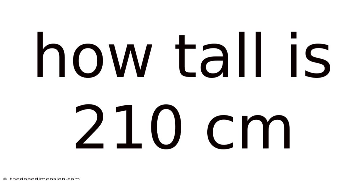 How Tall Is 210 Cm