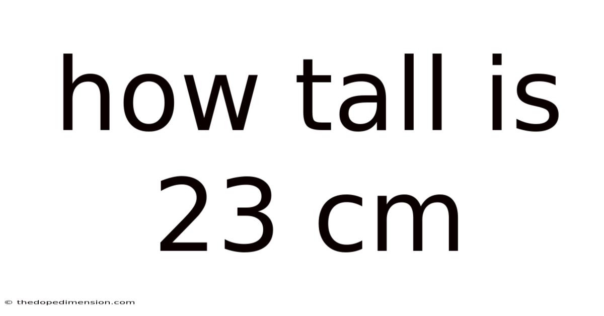 How Tall Is 23 Cm
