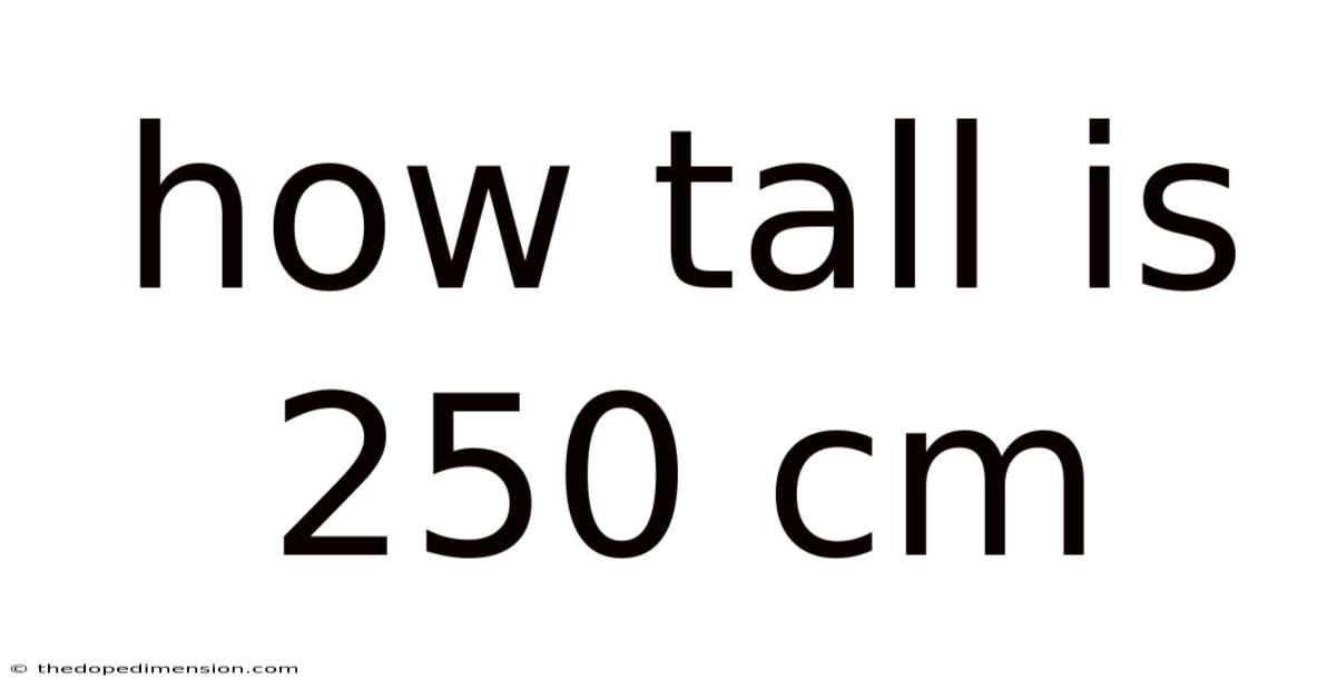 How Tall Is 250 Cm