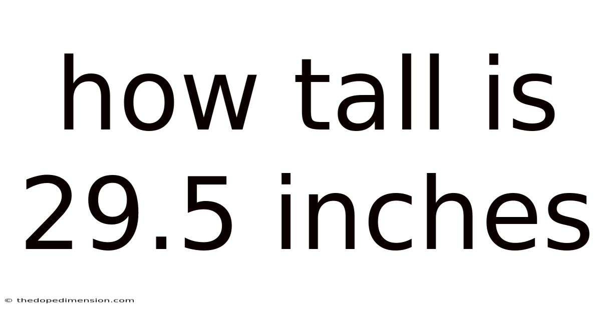 How Tall Is 29.5 Inches
