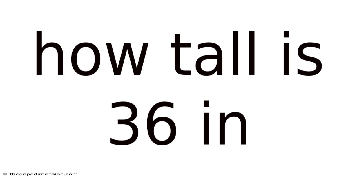 How Tall Is 36 In