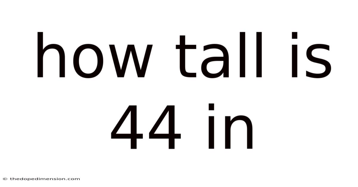How Tall Is 44 In