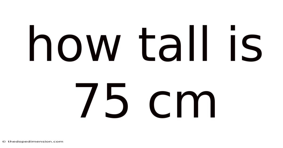 How Tall Is 75 Cm