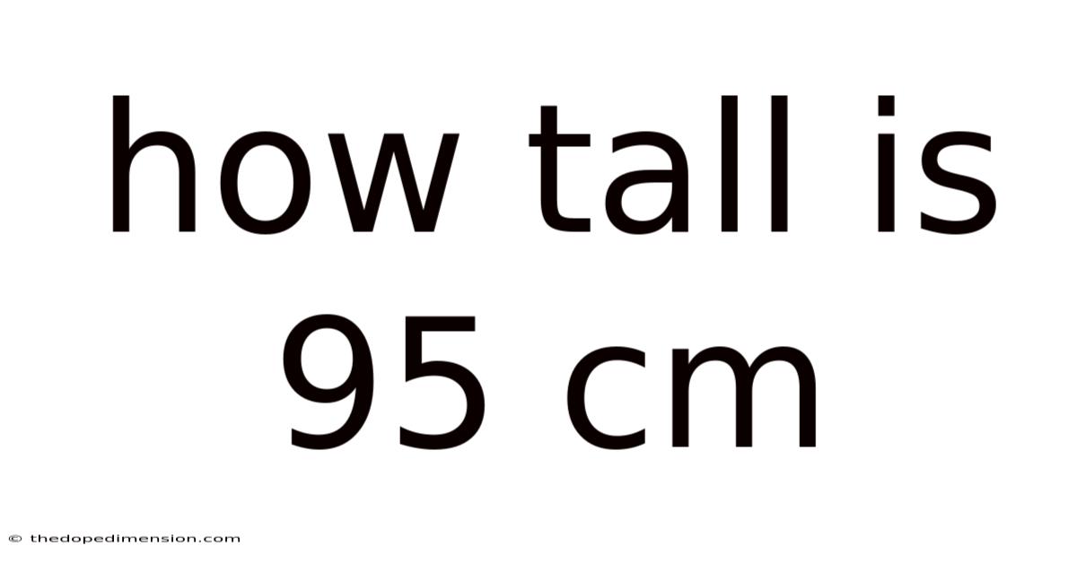 How Tall Is 95 Cm