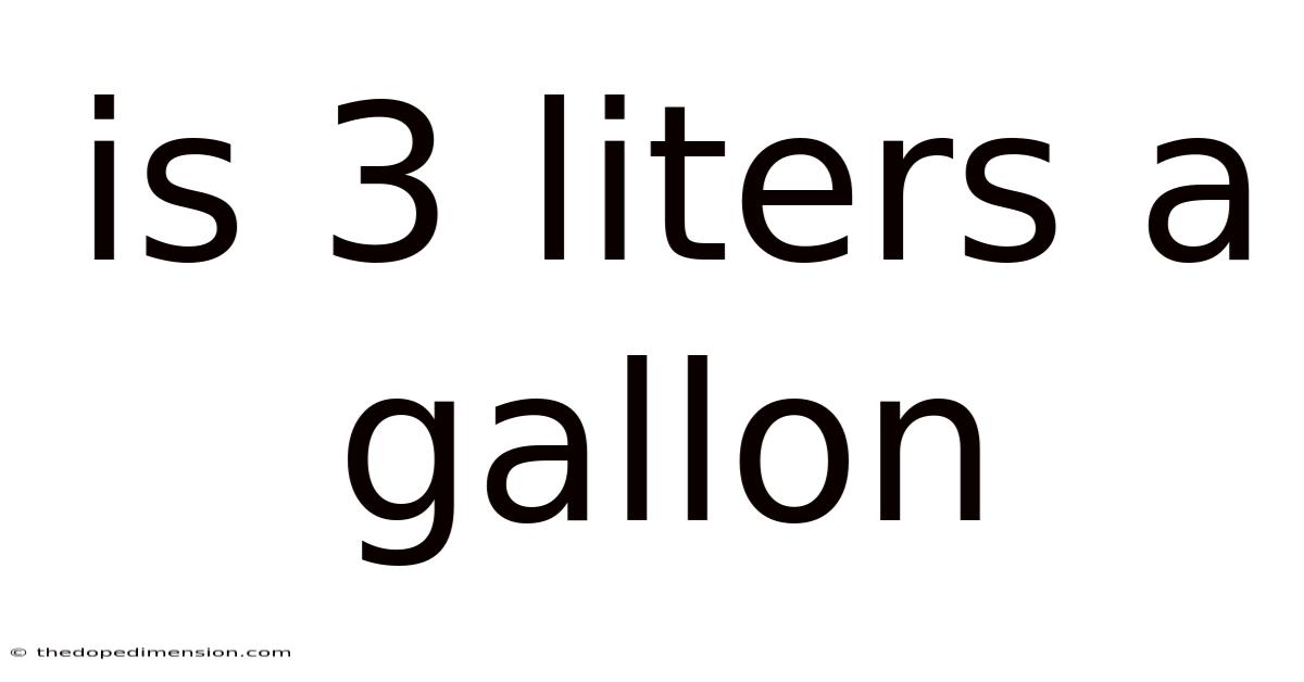 Is 3 Liters A Gallon
