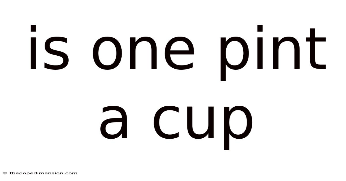 Is One Pint A Cup