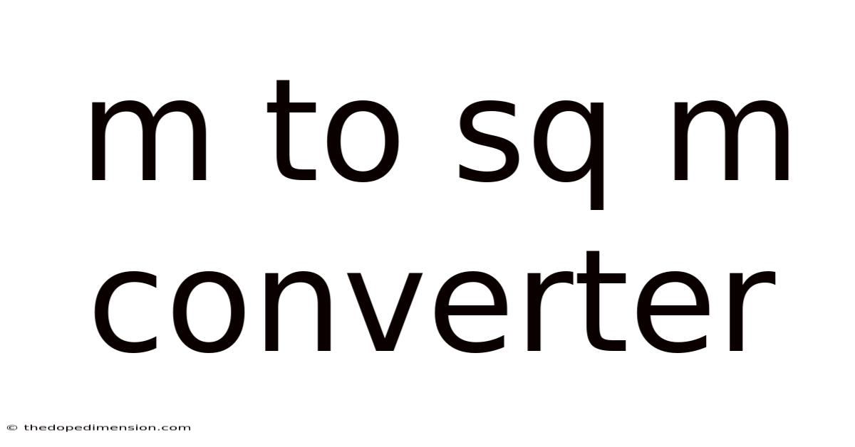 M To Sq M Converter