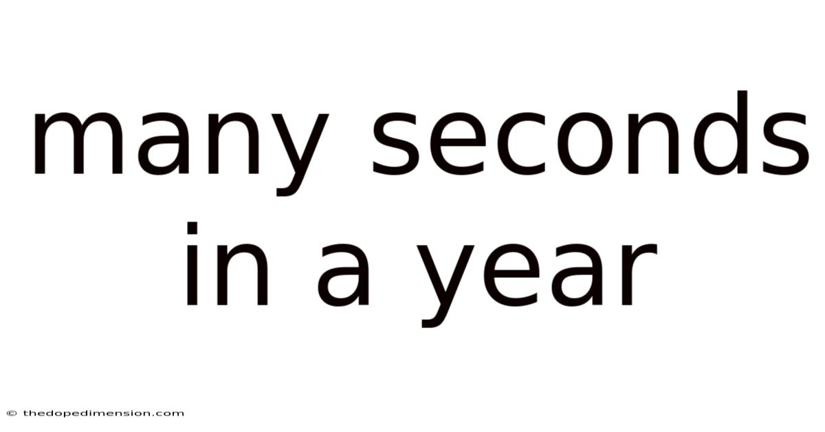 Many Seconds In A Year