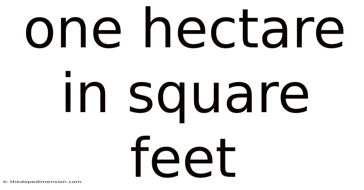 One Hectare In Square Feet