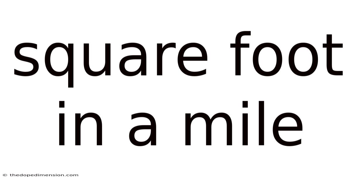 Square Foot In A Mile