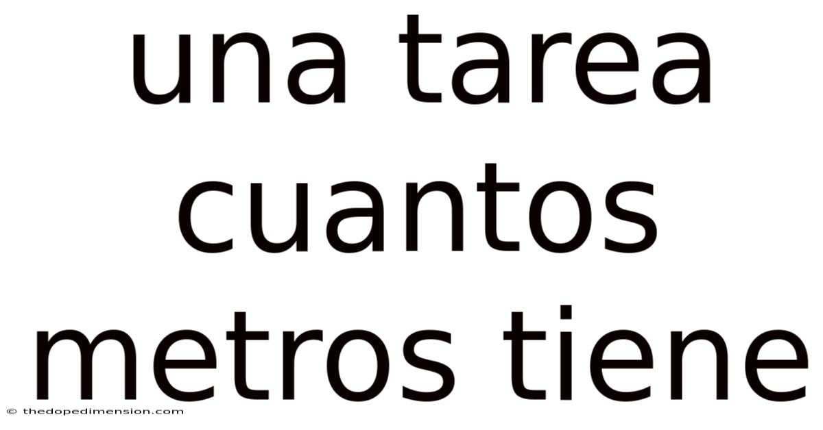 Una Tarea Cuantos Metros Tiene