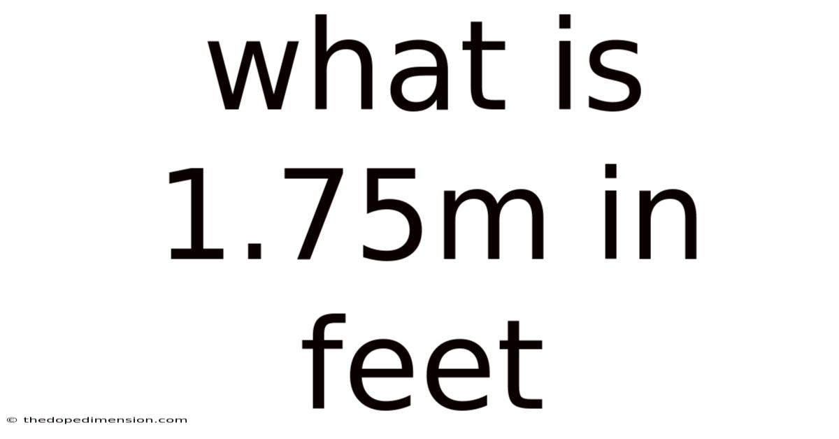 What Is 1.75m In Feet