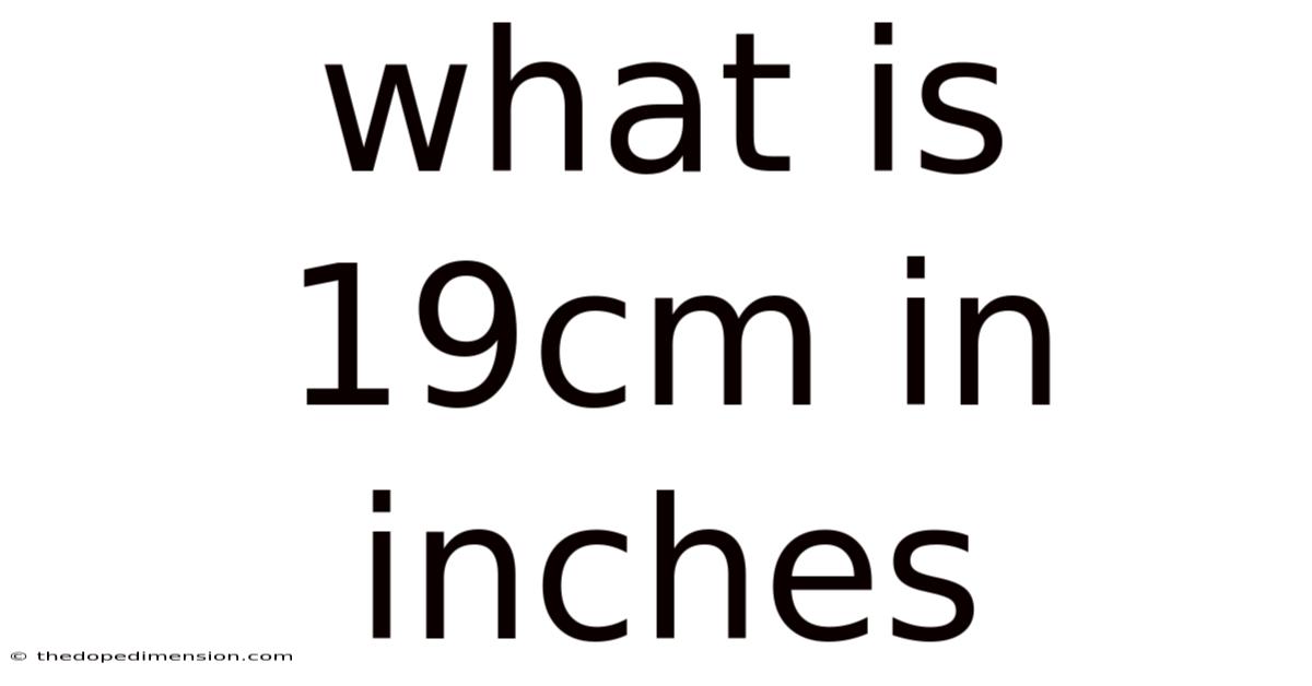 What Is 19cm In Inches