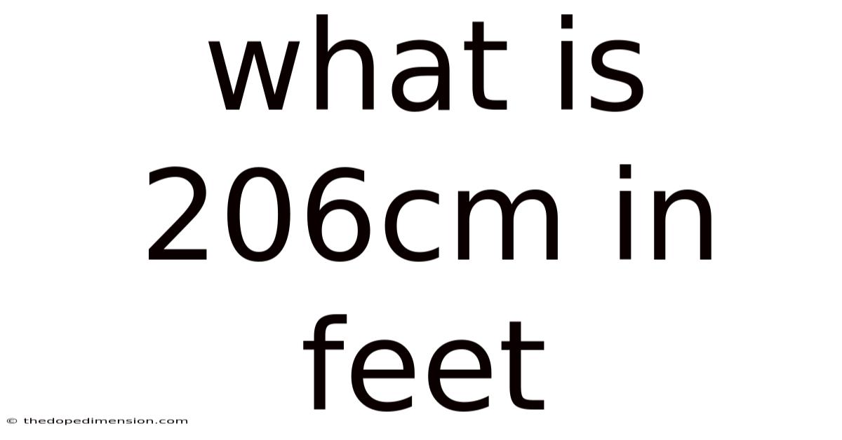 What Is 206cm In Feet