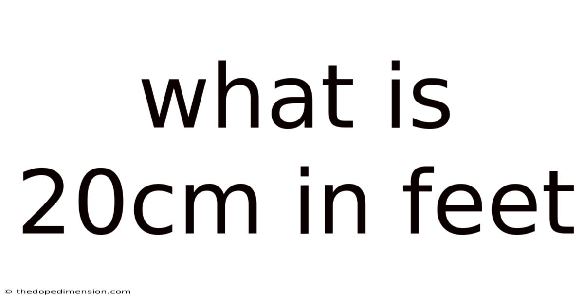 What Is 20cm In Feet