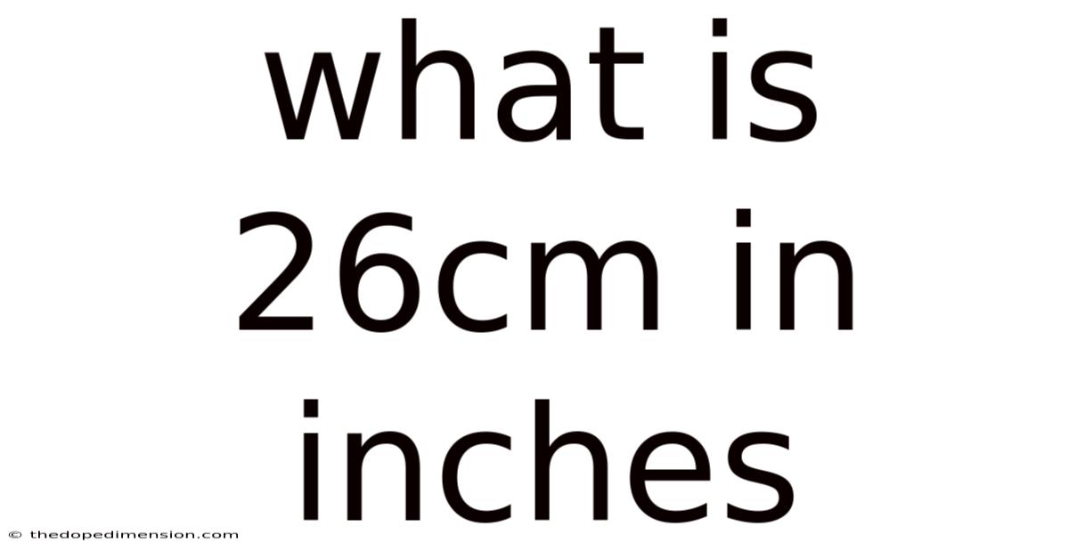 What Is 26cm In Inches