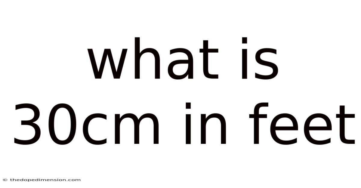 What Is 30cm In Feet
