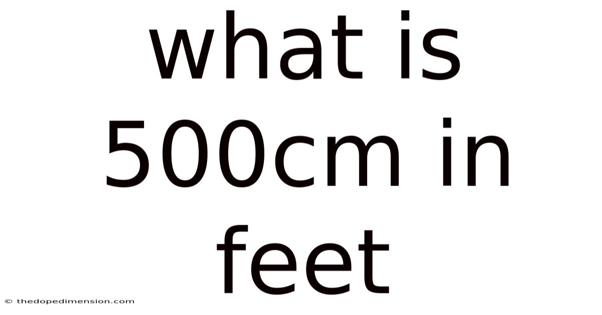 What Is 500cm In Feet
