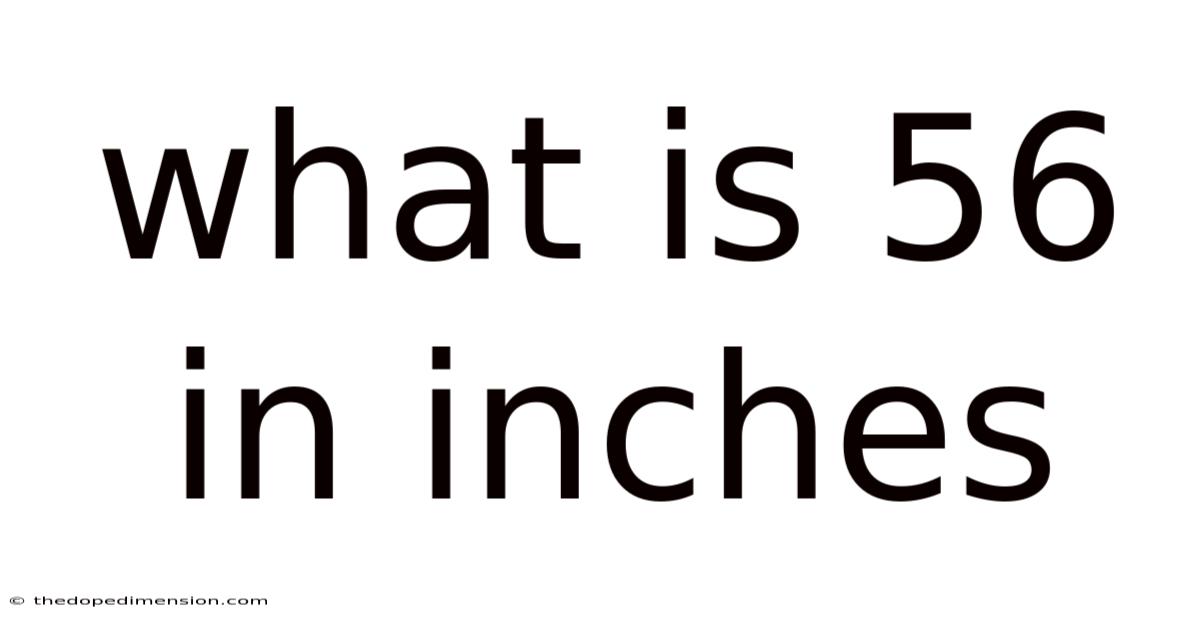What Is 56 In Inches